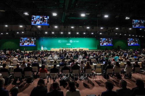 Over 130 countries prioritize food, agriculture in national climate plans - ảnh 1