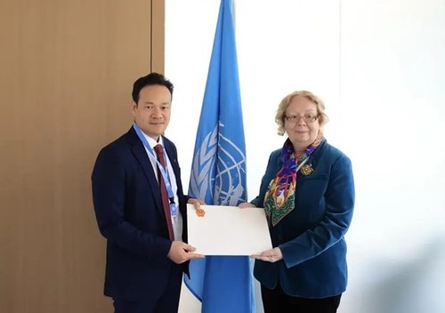 Vietnam wants to continue promoting cooperation with UN: Diplomat - ảnh 1
