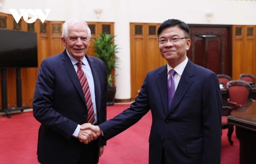 Vietnam considers the EU one of its top partners: Deputy PM - ảnh 1