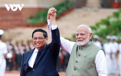 Vietnam, India pledge stronger comprehensive strategic partnership - ảnh 2