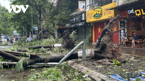 Typhoon Yagi causes nine deaths, urgent recovery efforts underway - ảnh 1