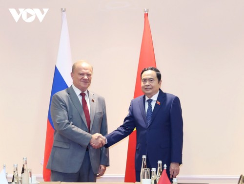 Vietnam, Russia vow stronger cooperation  - ảnh 2