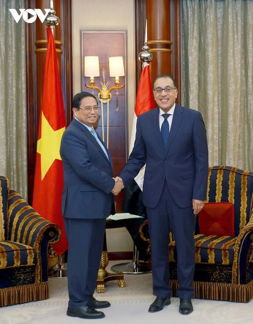 PM Pham Minh Chinh meets with Egyptian Prime Minister - ảnh 1