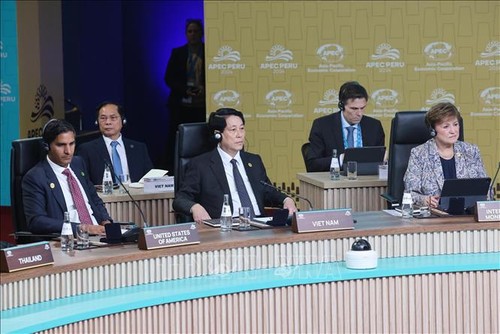 Vietnam ready to play a larger role in global issues - ảnh 1