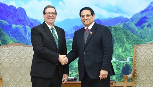 Vietnam pledges strong support for Cuba for mutual development - ảnh 1