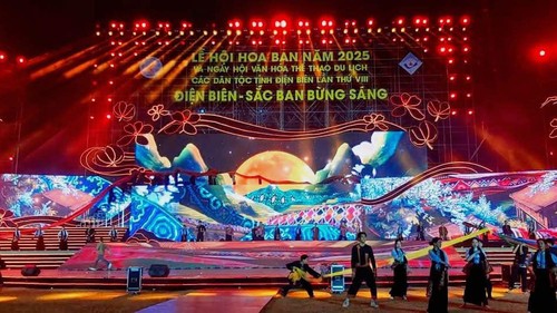 Ban (Bauhinia) Flower Festival 2025 begins - ảnh 2
