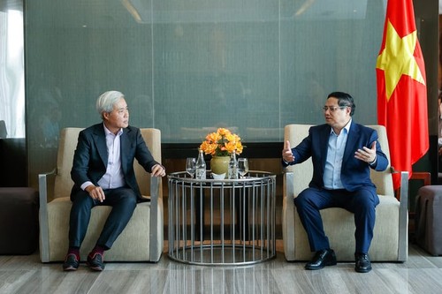 PM works with major foreign investors in Ba Ria-Vung Tau - ảnh 3