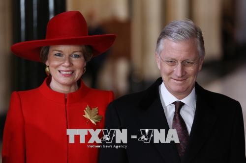 The King and Queen of Belgium to pay a State visit to Vietnam - ảnh 1