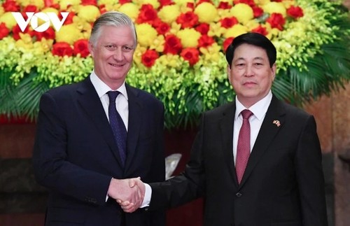 Vietnam keen to boost multifaceted cooperation with Belgium - ảnh 1