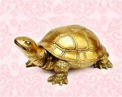 Wednesday April 2, 2025 - ảnh 5