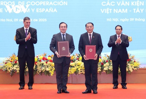 Vietnam, Spain seek to elevate ties to comprehensive strategic partnership - ảnh 3