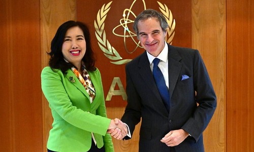 Vietnam strengthens legal framework for crime prevention and criminal justice, says Deputy FM - ảnh 2