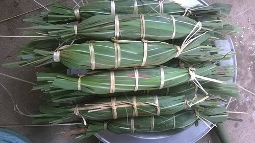 Tay people celebrate Doan Ngo festival - ảnh 1