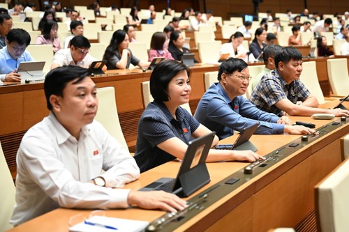 Public opinions on Constitutional amendments – a testament to democracy - ảnh 1