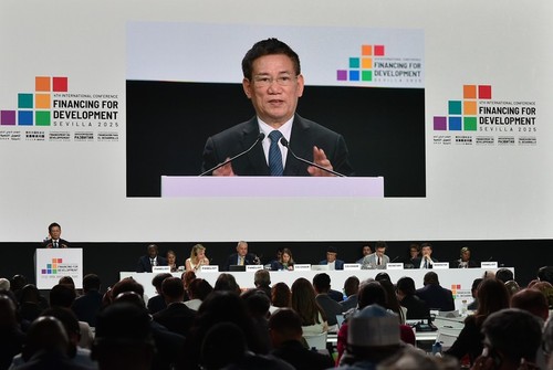 Vietnam calls for renewing international cooperation to achieve development goals - ảnh 1