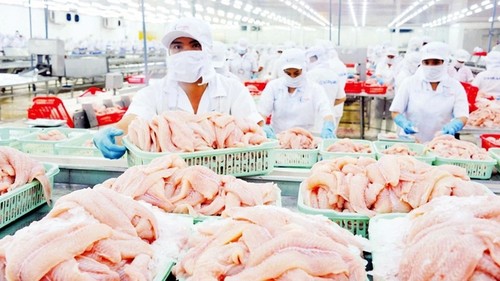 Vietnamese pangasius penetrates US market - ảnh 1