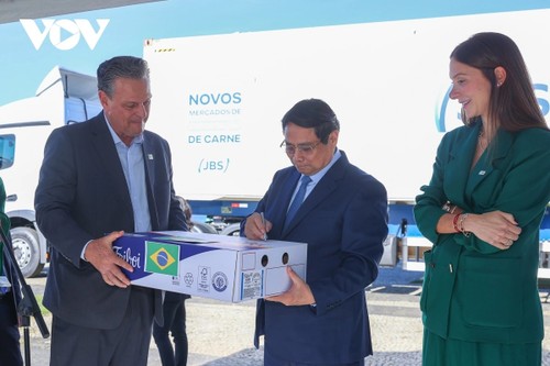 Vietnam aims for stronger agriculture cooperation with Brazil - ảnh 2