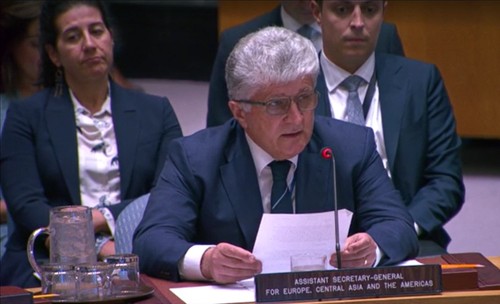 UN Security Council convenes on Israel–Palestine conflict - ảnh 1