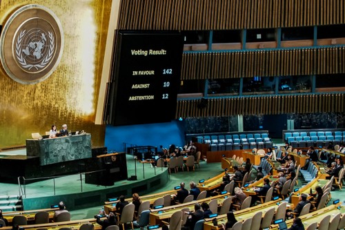 UN General Assembly endorses New York Declaration on two-State solution between Israel and Palestine - ảnh 1