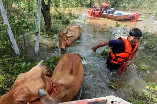 China, Thailand respond to natural disasters - ảnh 1
