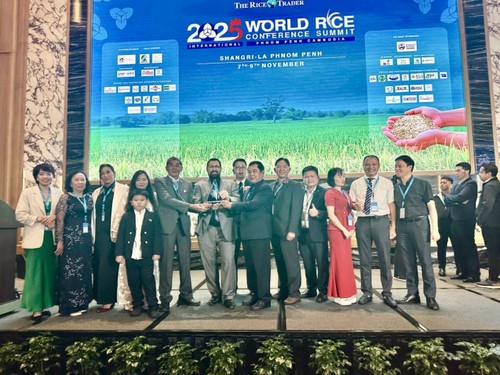 Vietnam’s ST25 rice brand Ong Cua wins World’s Best Rice Award for third time - ảnh 1