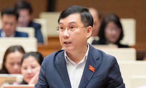 National Assembly debates revised Investment Law - ảnh 2