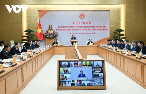 Vietnam pushes economic diplomacy to drive double-digit growth: PM - ảnh 1