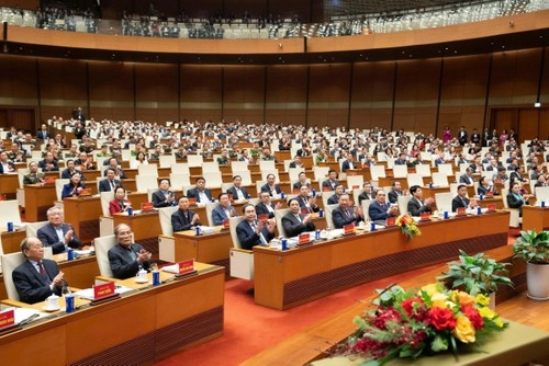 National conference held to disseminate, implement Party Congress’s resolution - ảnh 2