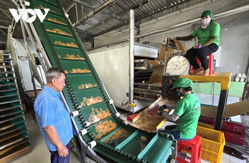 Nam Can shrimp cracker craft village bustles for Tet demand - ảnh 2