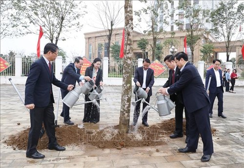 Tree-planting festival launched nationwide - ảnh 1