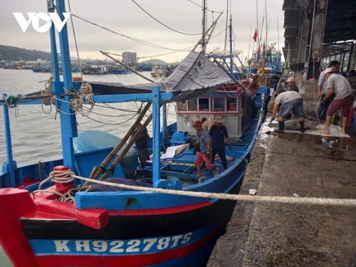 Fishermen celebrate a late but fulfilling Tet - ảnh 1