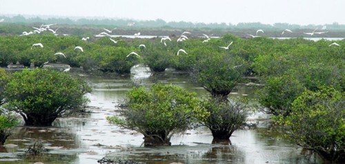 Xuan Thuy National Park recognized as ASEAN Heritage Park - ảnh 1