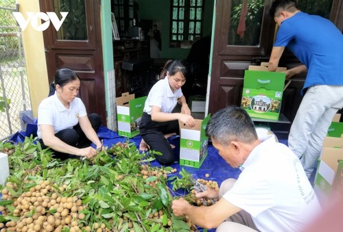 Khai mạc hội chợ xúc tiến thương mại tiêu thụ nhãn và nông đặc sản của huyện Khoái Châu, tỉnh Hưng Yên, năm 2022 - ảnh 1