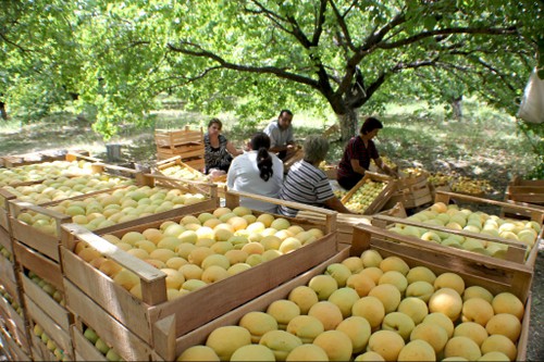 Things you probably didn’t know about Armenia - ảnh 5