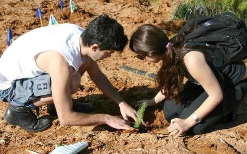 Israel’s Tu Bishvat – New Year for the trees - ảnh 3