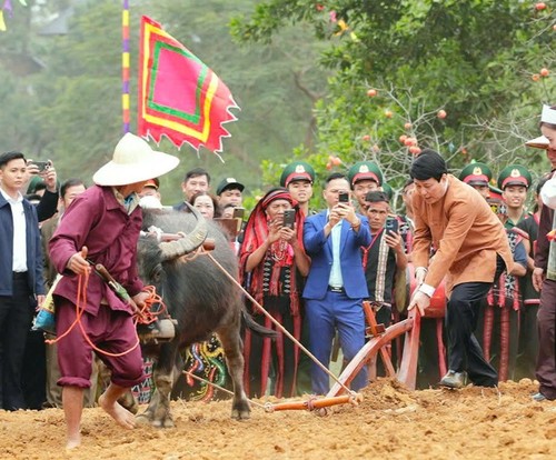 2026년 ‘전국 봄의 색깔’ 프로그램, 다채로운 행사로 펼쳐 - ảnh 1