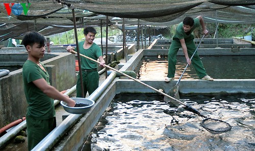 Inauguran la exposición internacional de acuicultura Vietnam 2017 - ảnh 1