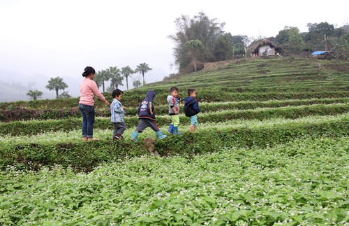 Aldea de Ten, un destino turístico de los Mong en Thai Nguyen  - ảnh 1