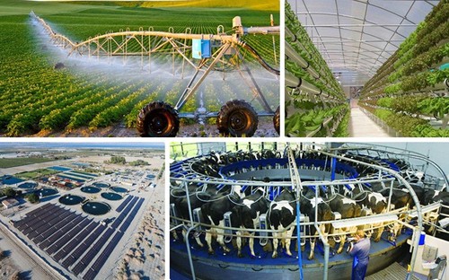 Vietnam promueve aplicación tecnológica de riego por goteo en la agricultura - ảnh 1