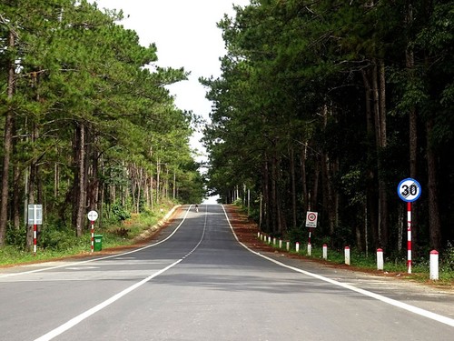 Mang Den, paraíso en las Tierras Altas Centrales   - ảnh 1