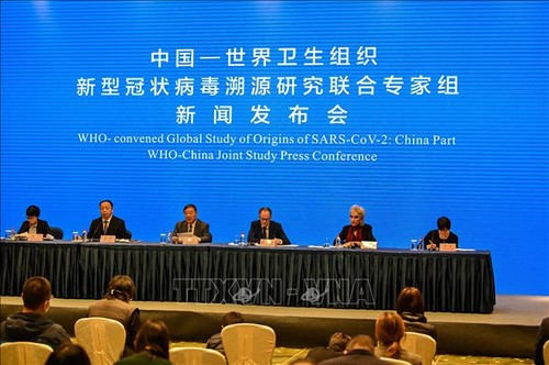 OMS: No había señales de que el virus SARS-CoV-2 apareciera en Wuhan antes de diciembre de 2019.  - ảnh 1