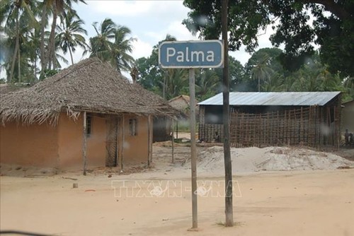 Ningún vietnamita herido en ataques terroristas en Mozambique - ảnh 1