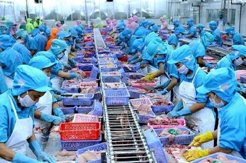 Aumentan exportaciones acuícolas de Vietnam en los primeros cuatro meses de 2021  - ảnh 1