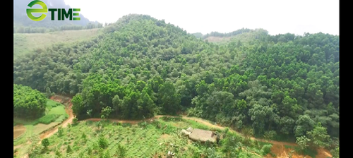 Granja Hon Mu, donde la gente vive en armonía con la naturaleza - ảnh 1