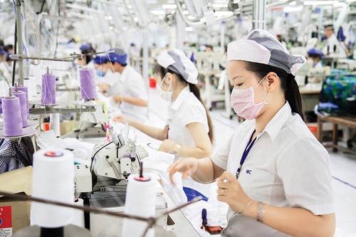 Vietnam mantiene superávit comercial en mercados miembros de CPTPP - ảnh 1