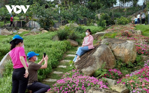 Primer viaje interprovincial entre Ciudad Ho Chi Minh y Tay Ninh - ảnh 2