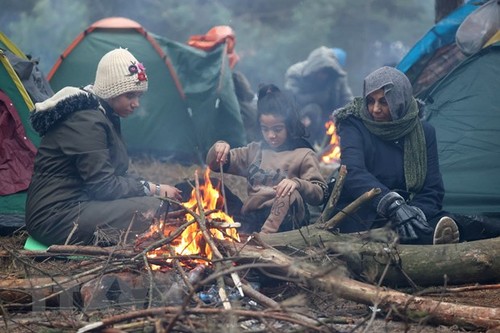 Vietnam pide priorizar salvar a los migrantes que cruzan fronteras y el mar - ảnh 1