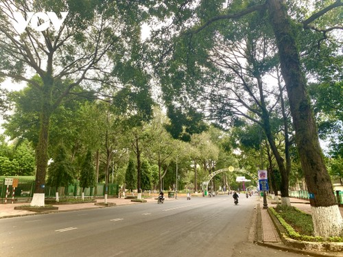 Buon Ma Thuot, una ciudad verde  - ảnh 1