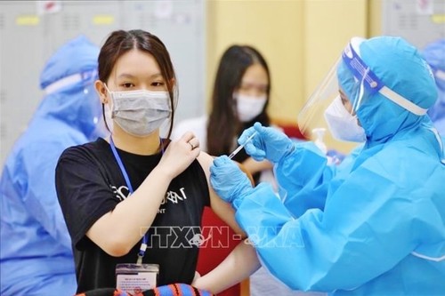 Casi 500 nuevos casos de covid-19 registrados hoy en Vietnam - ảnh 1