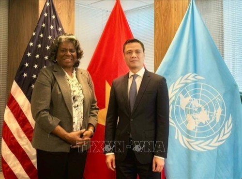 Vietnam y Estados Unidos cooperan en temas globales e implementan iniciativas conjuntas en ONU - ảnh 1